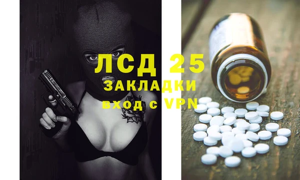прущие грибы Сафоново