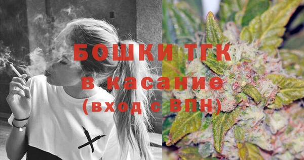 таблы Богородицк