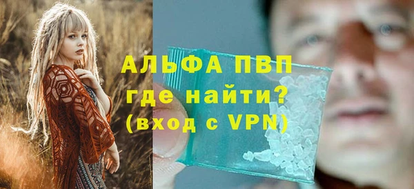 сатива Богданович