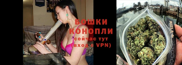 сатива Богданович